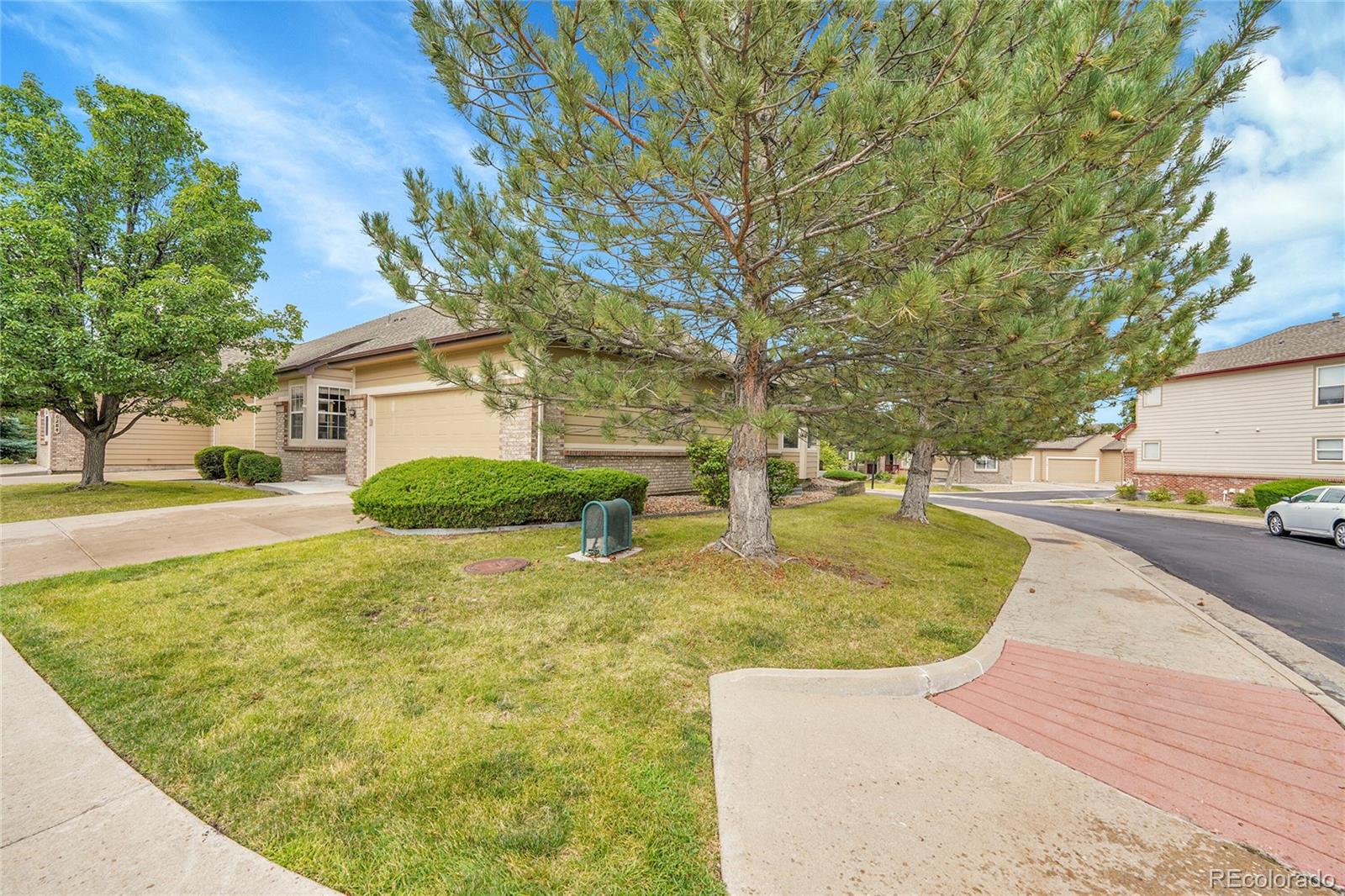 6264 Salvia Lane
