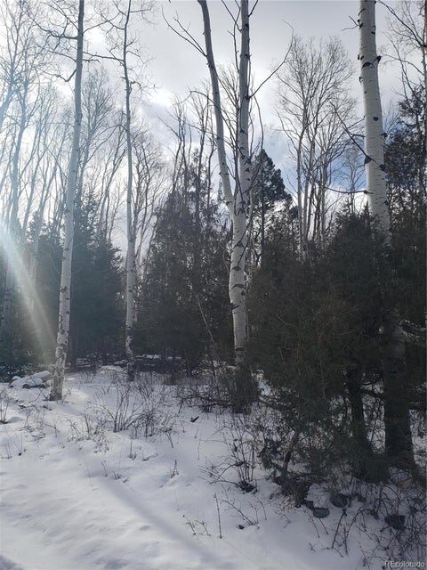 Featured picture for the property 3896031