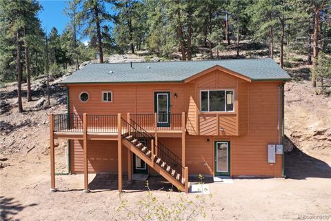 325 Bob Cat Trail Bailey CO 80421