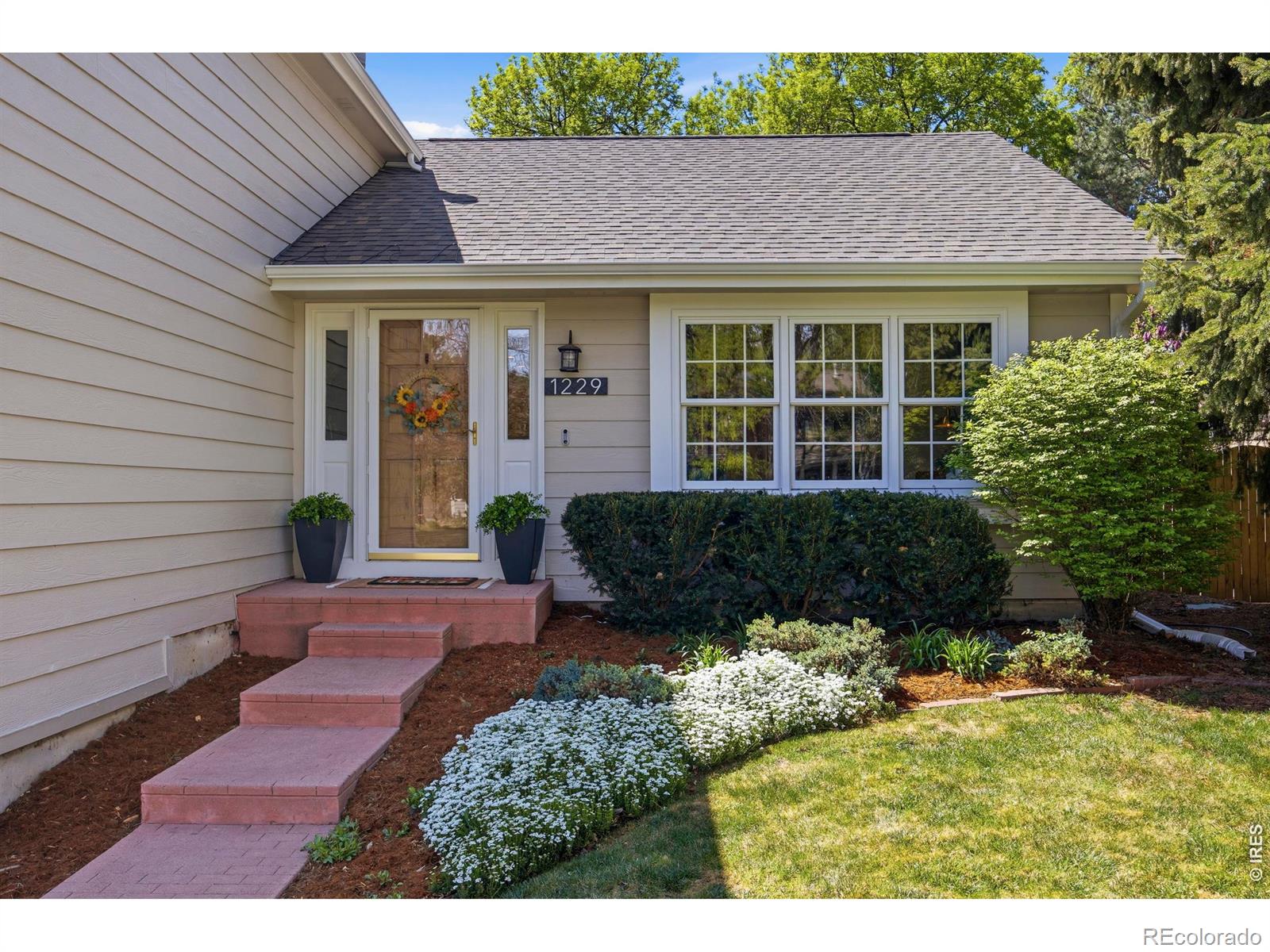 1229 Mansfield Drive