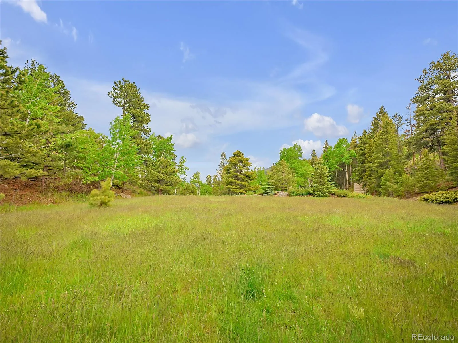 Evergreen, Colorado 80439, United States, 3 Bedrooms Bedrooms, ,3 BathroomsBathrooms,Residential,Active,119243