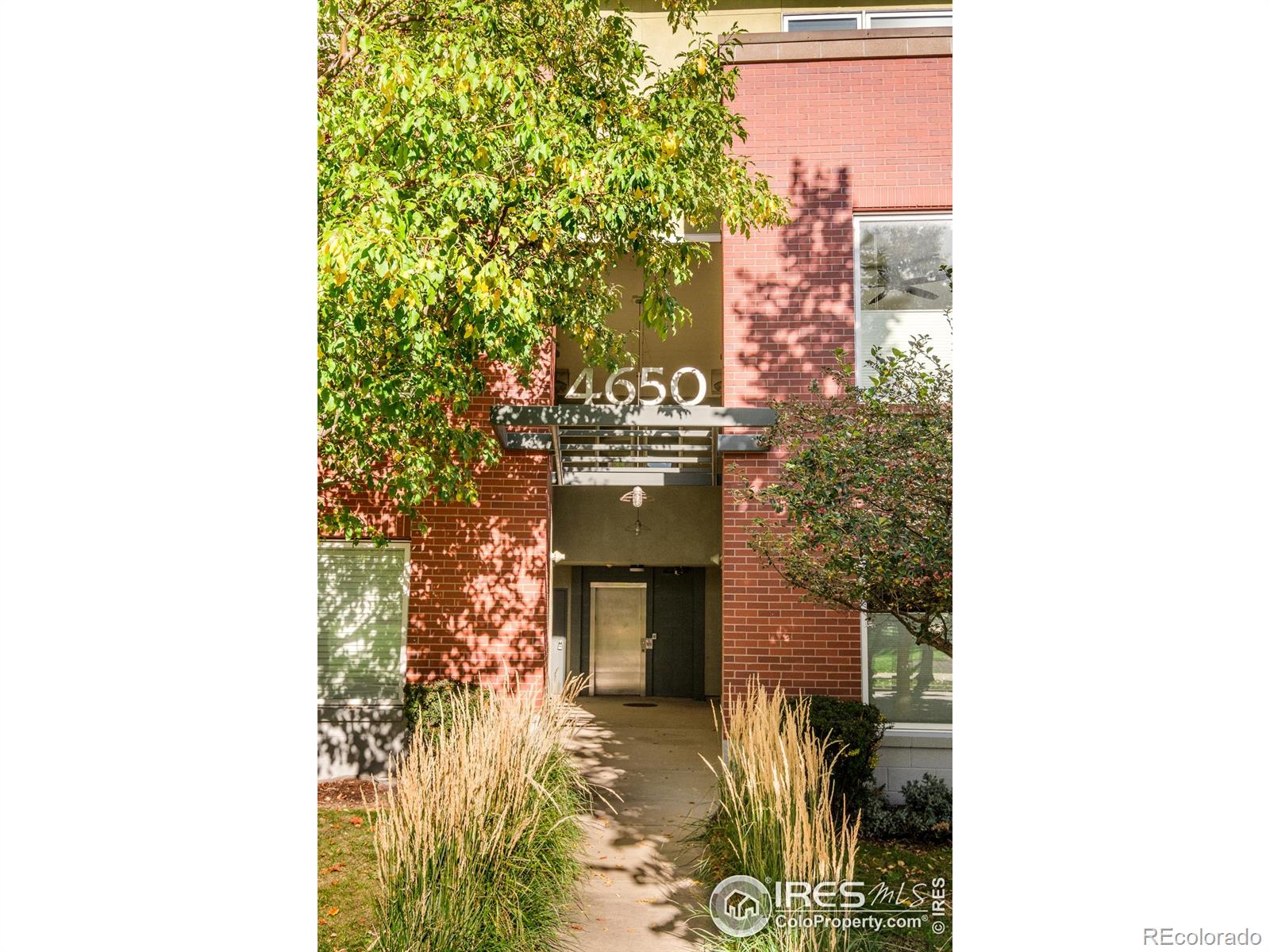 4650 Holiday Drive 301