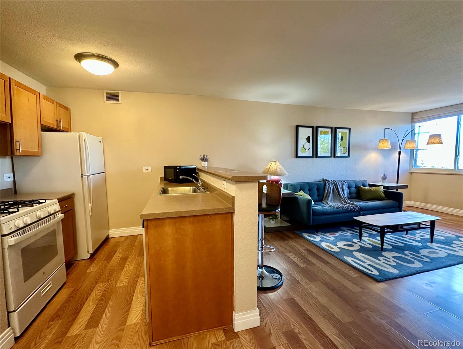 1196 N Grant Street 407, Denver, CO, 80203 1 1196 N Grant Street 407