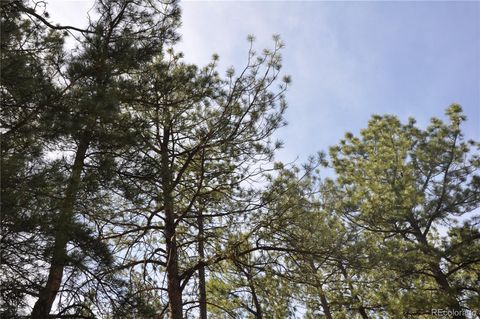 Wood Sorrel Rd Larkspur Co 80118