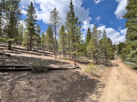 66 Ponderosa Drive Twin Lakes CO 81251