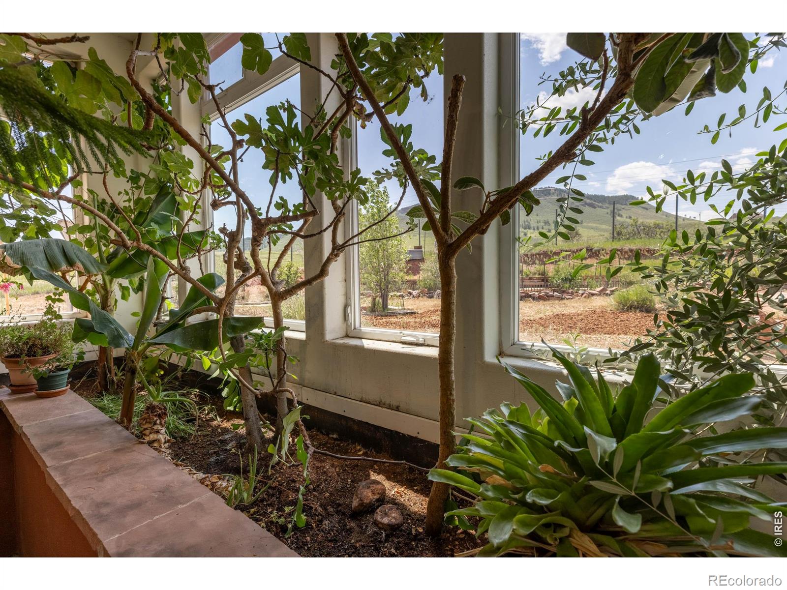 108 Lonestar Road