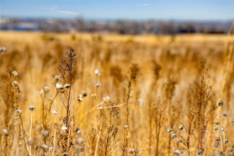 Unimproved Land in Commerce City CO 1 E 128th 17.jpg