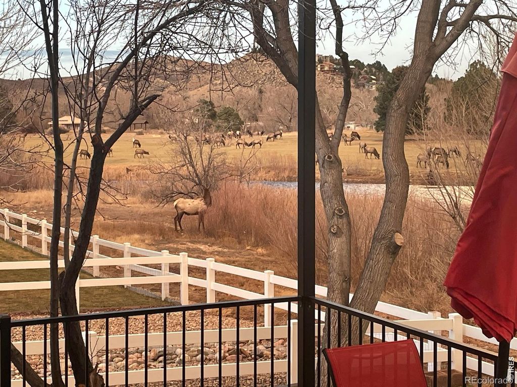 Photo of 4339 Golf Vista Drive, Loveland, CO 80537 (MLS # IR1055709)
