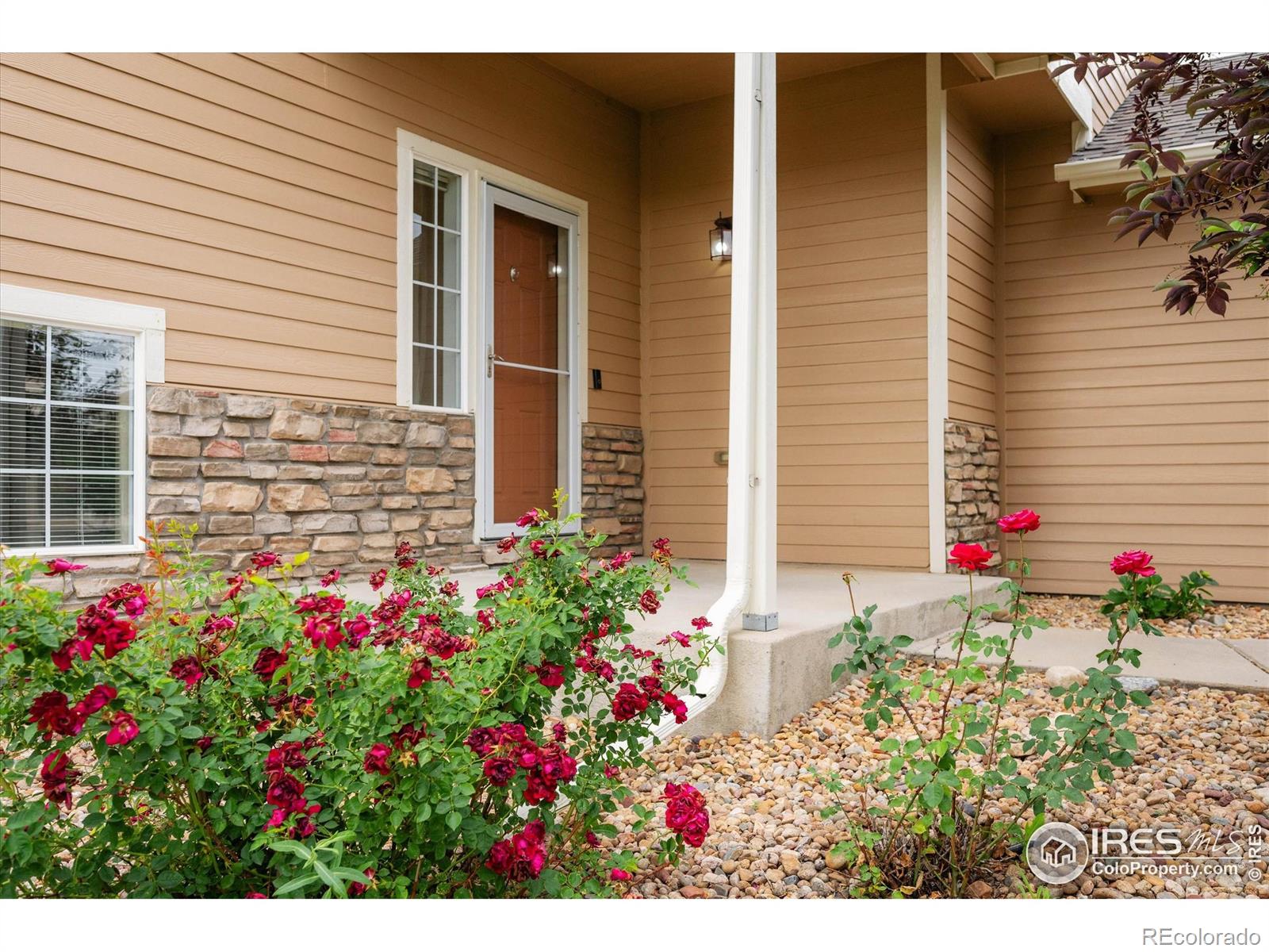 5452 Rustic Avenue, Firestone, CO, 80504 4 5452 Rustic Avenue