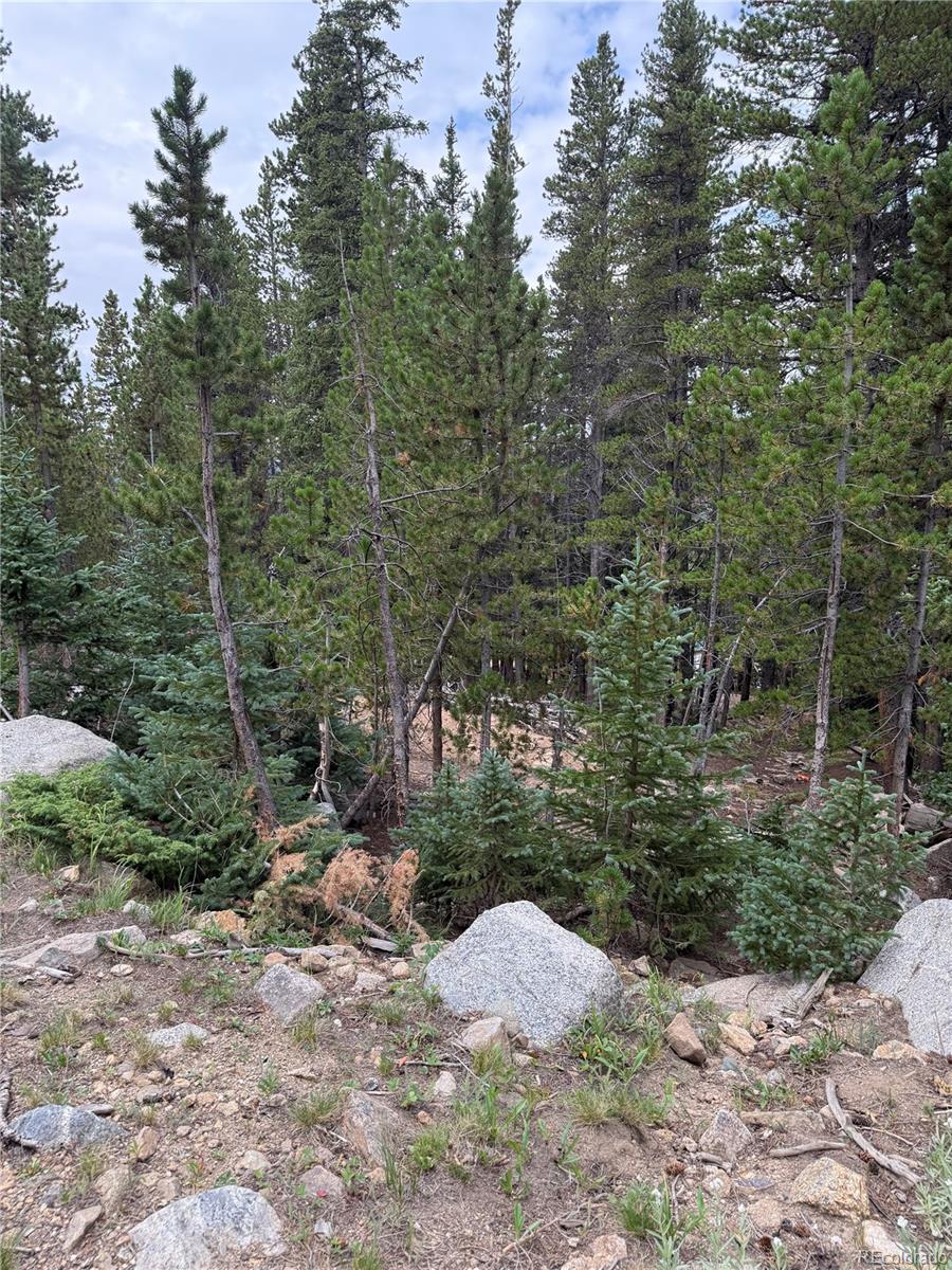0179 Mine Road
