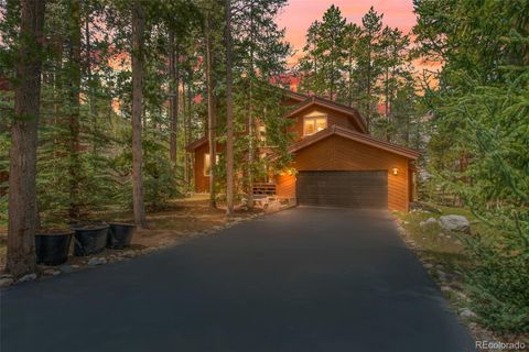 21 Appaloosa Court Dillon CO 80435