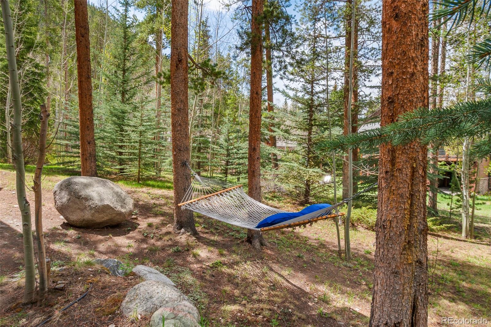 21 Appaloosa Court