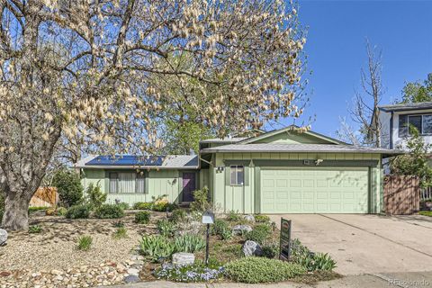 547 S Flower Street Lakewood CO 80226