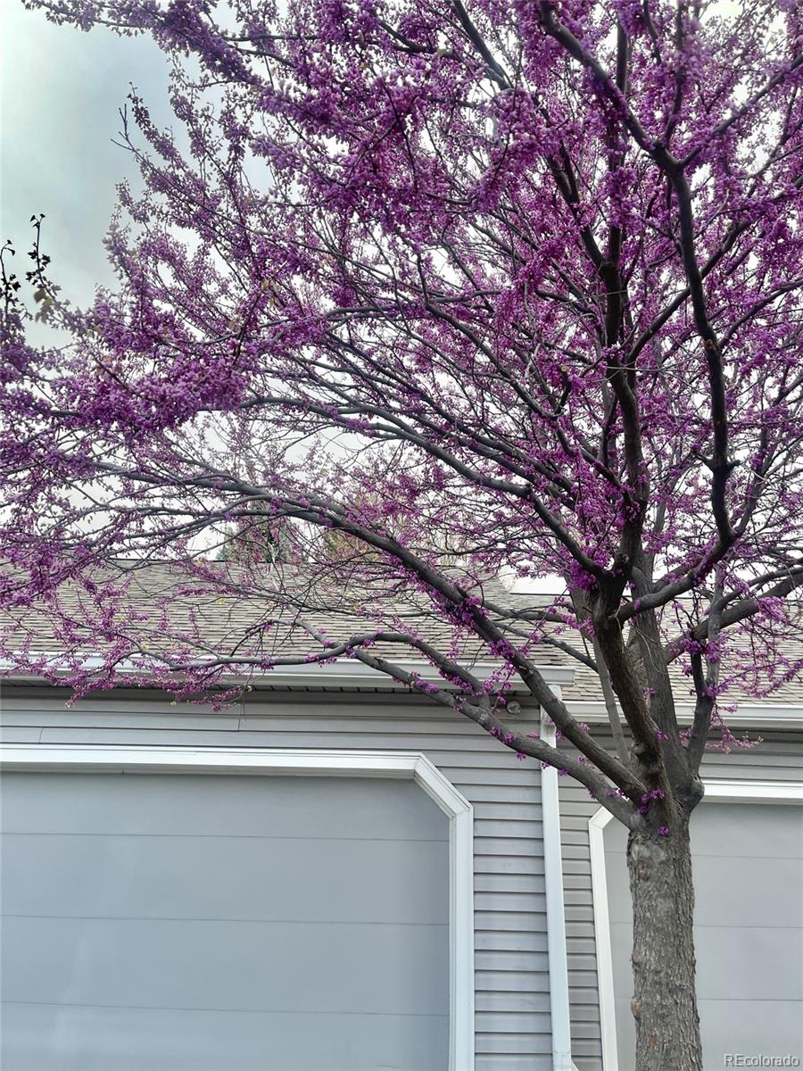 13703 E Marina Drive A