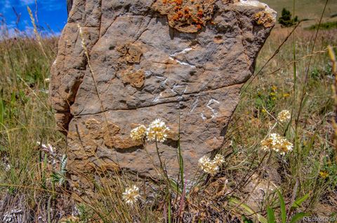 Unimproved Land in Alma CO Loveland Mining Claims 11.jpg