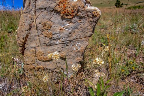 Unimproved Land in Alma CO Loveland Mining Claims 12.jpg