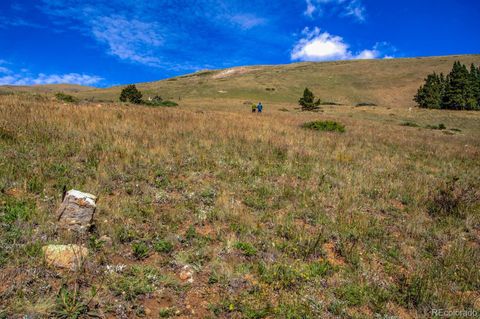 Unimproved Land in Alma CO Loveland Mining Claims 14.jpg