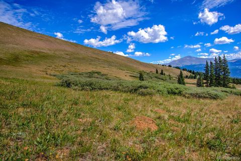 Unimproved Land in Alma CO Loveland Mining Claims 23.jpg