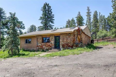 10893 Milliken Avenue Conifer CO 80433