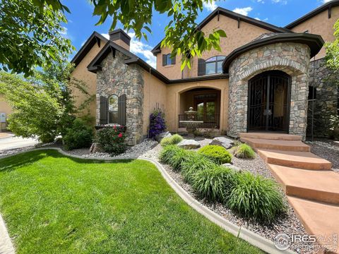 Photo of 315 Meadowsweet Circle, Loveland, CO 80537 (MLS # IR1048752)