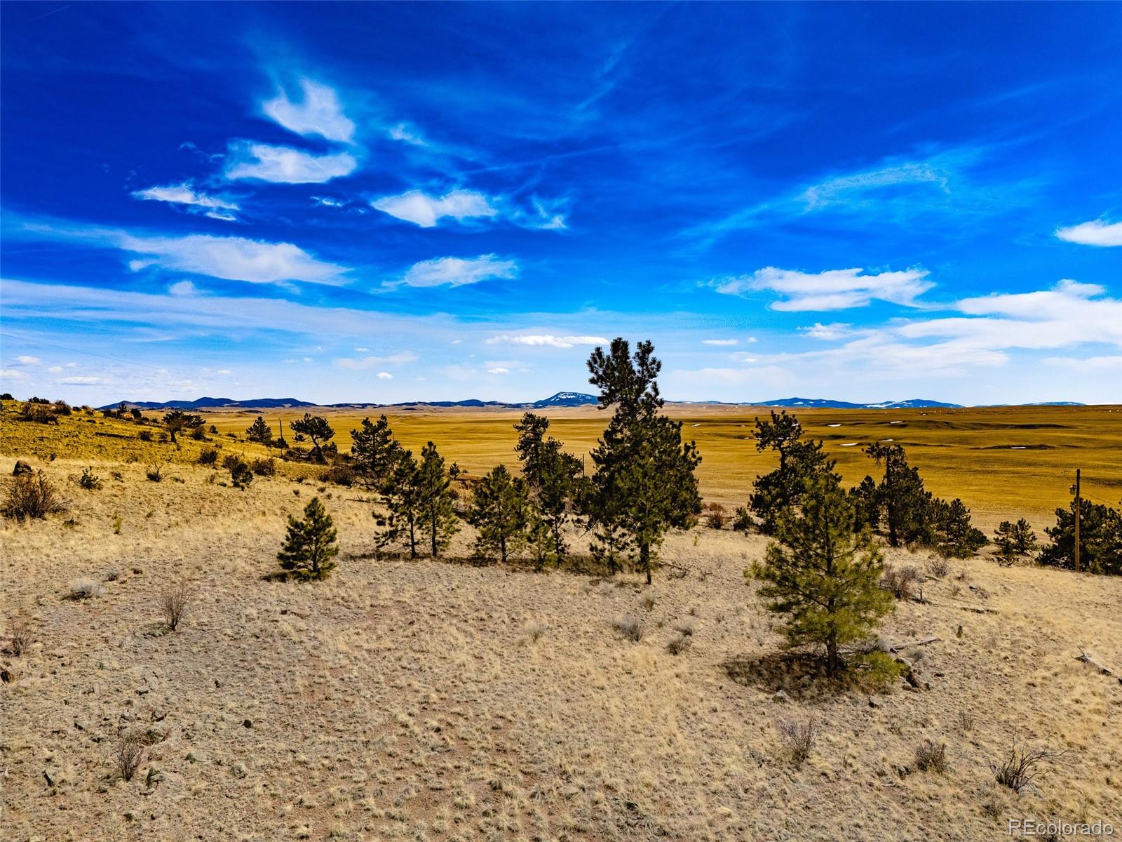 Photo 1 of 28 — 102 Pack Saddle Court, Hartsel, CO 80449
