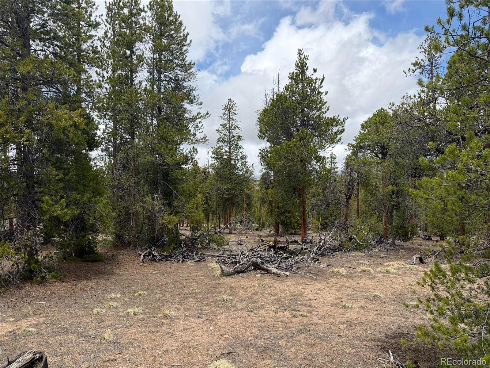 341 Lodgepole Drive