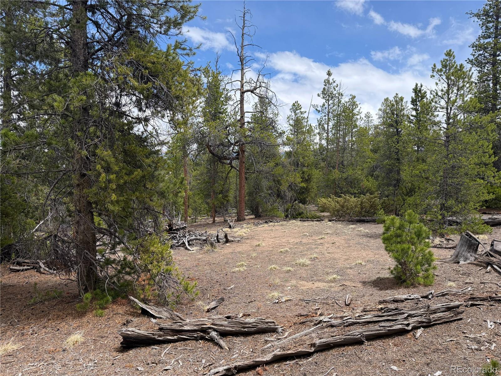 341 Lodgepole Drive