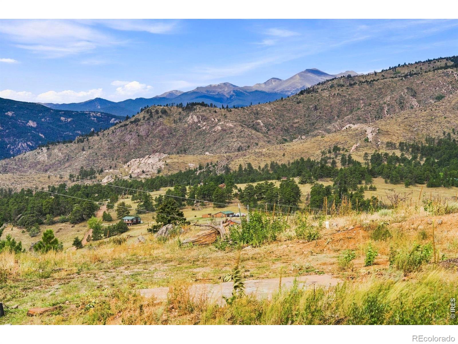 981 Palisade Mountain Drive