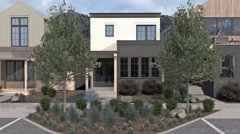 225 Harrison Avenue Buena Vista CO 81211