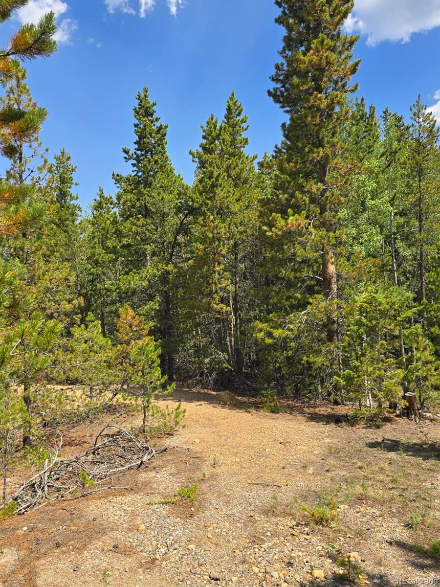 000 Virginia Canyon Road