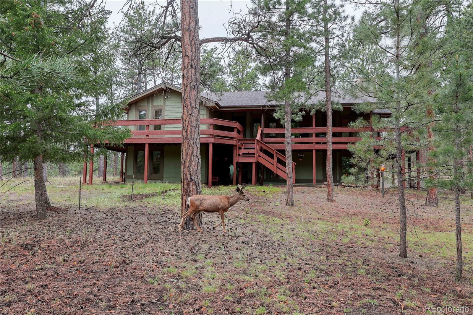 4490 Red Rock Drive
