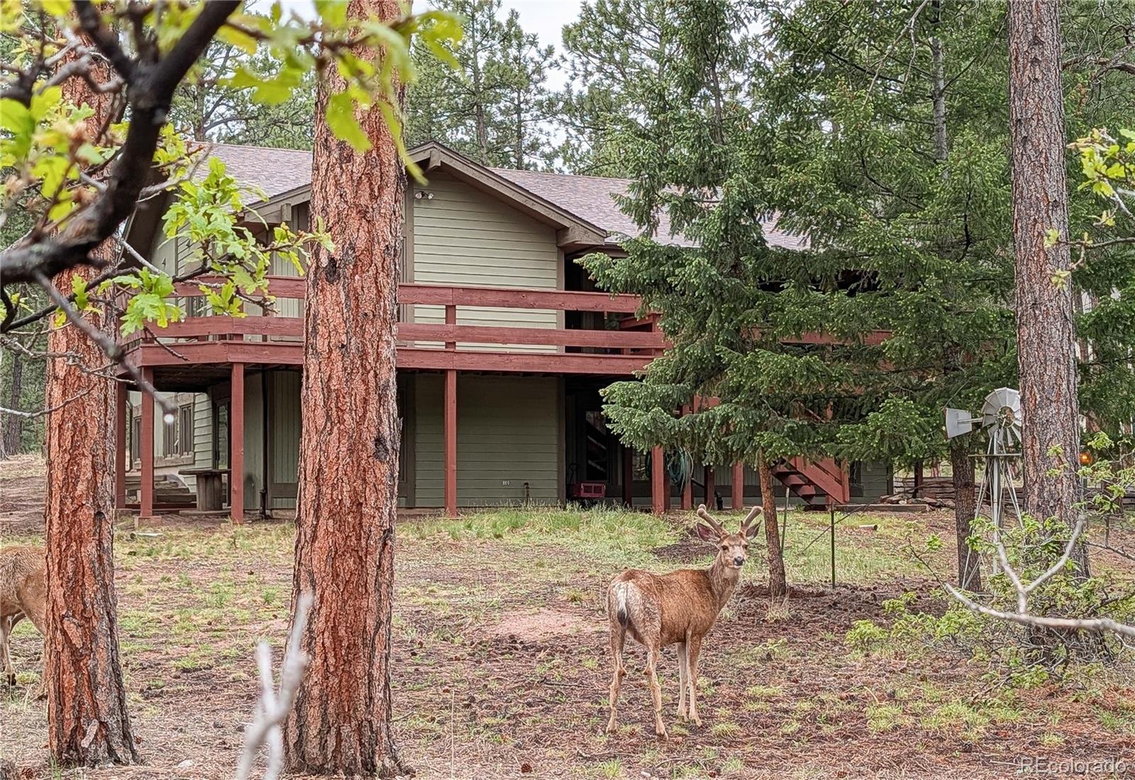 4490 Red Rock Drive