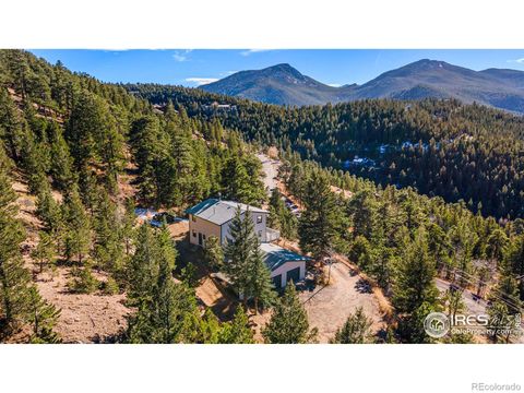 29873 Spruce Canyon Drive, Golden, CO 80403 - #: IR999725