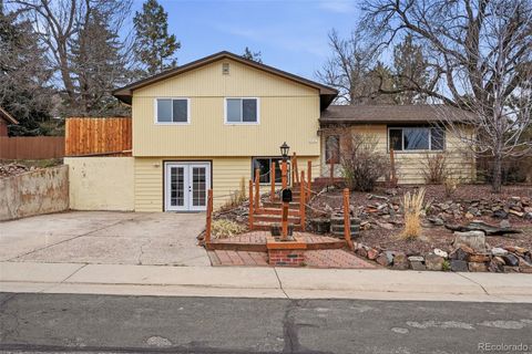 564 Vista Drive Castle Rock CO 80104