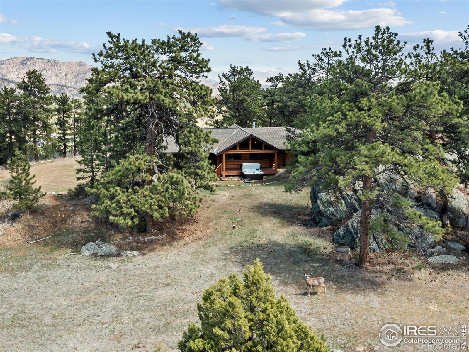 141 Palisade Mountain Drive
