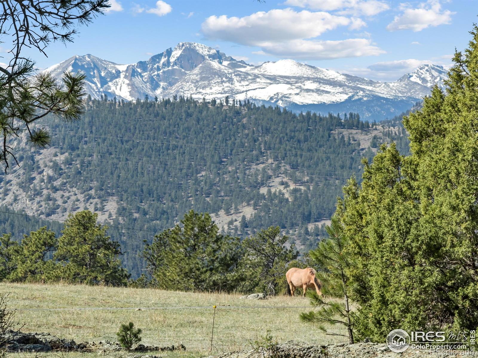 141 Palisade Mountain Drive
