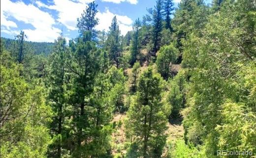 2222 Swift Claim Road