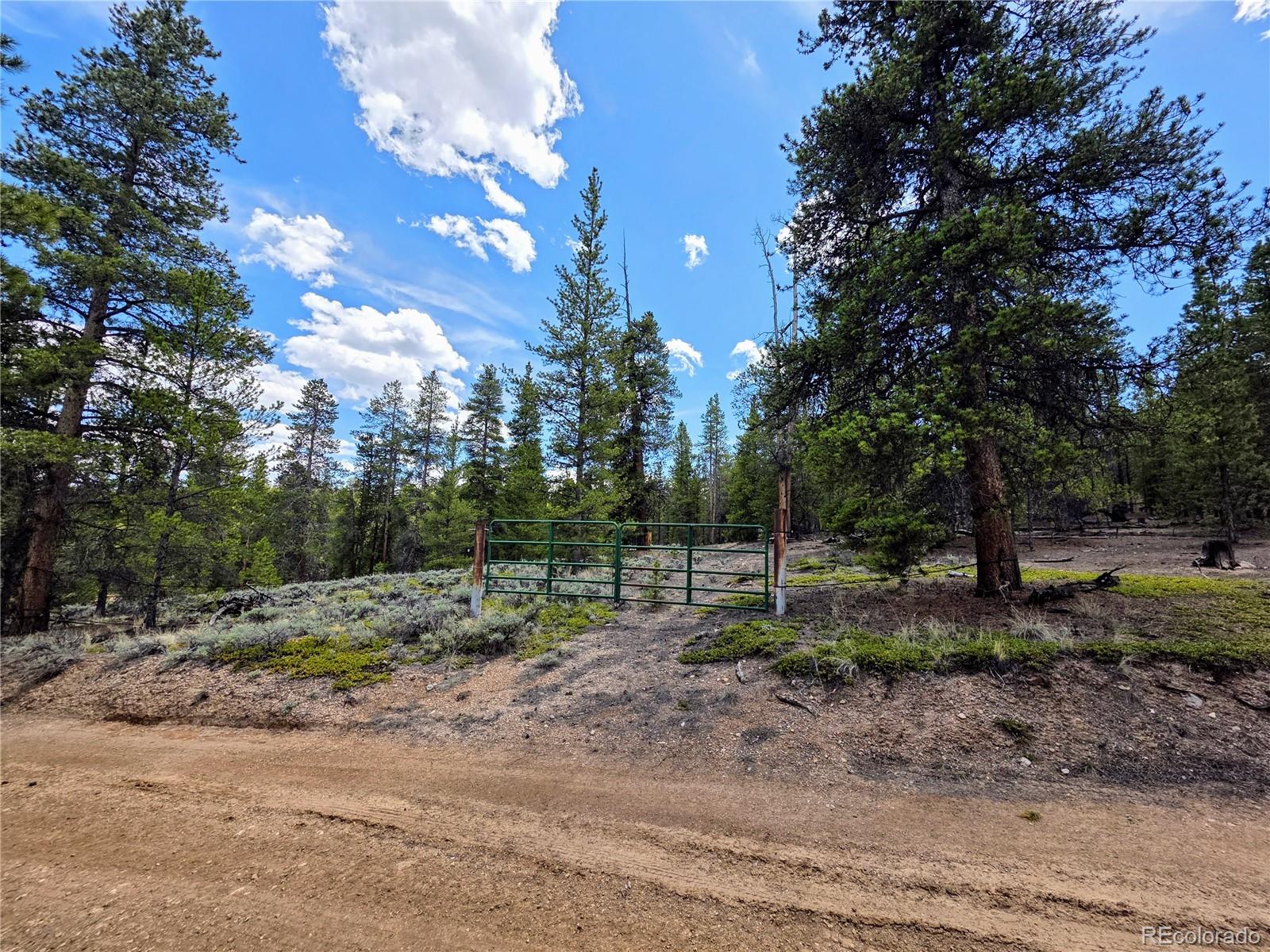 160 Ponderosa Drive
