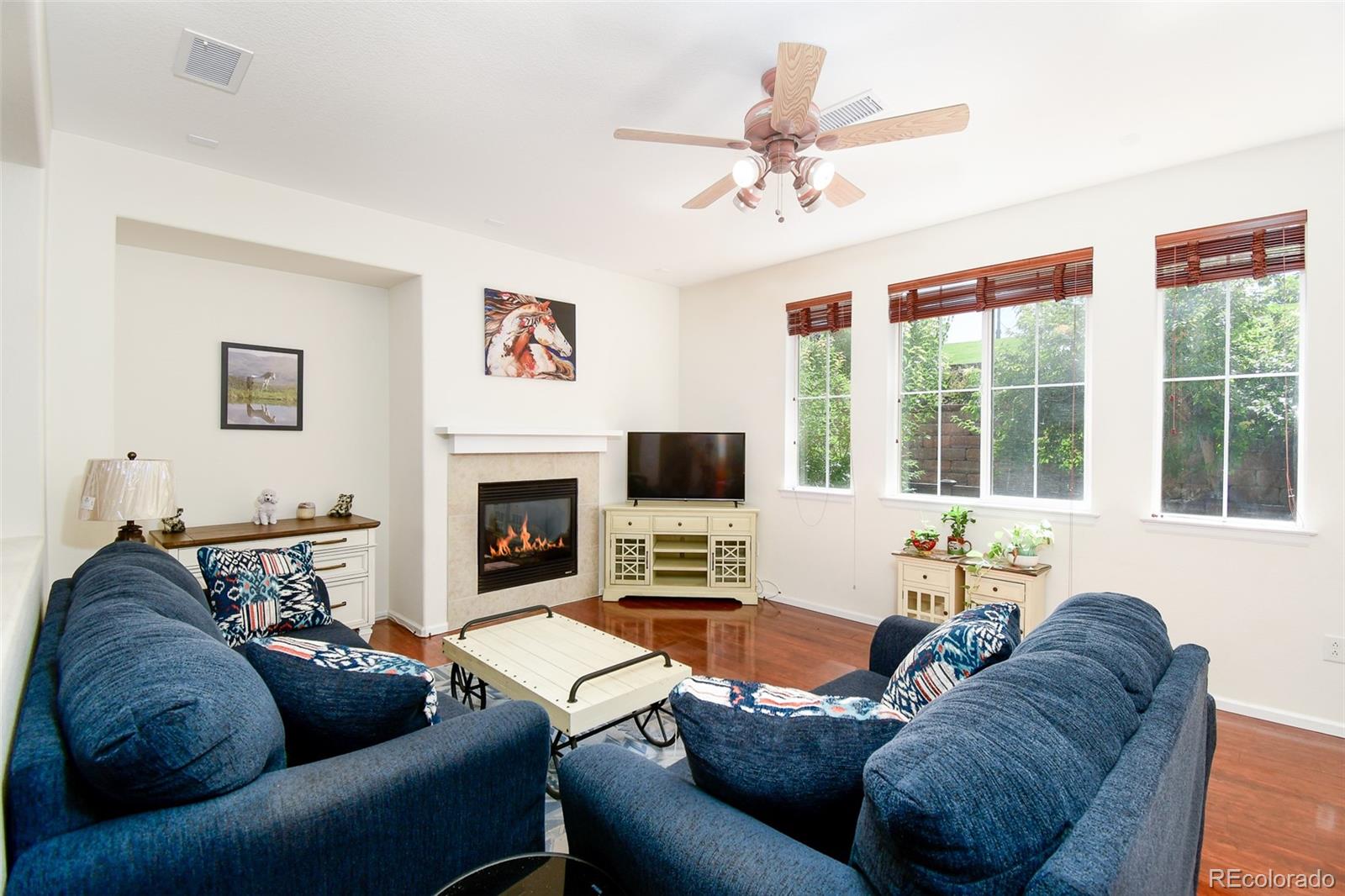 10580 Parkington Lane B, Highlands Ranch, CO, 80126 10580 Parkington Lane B