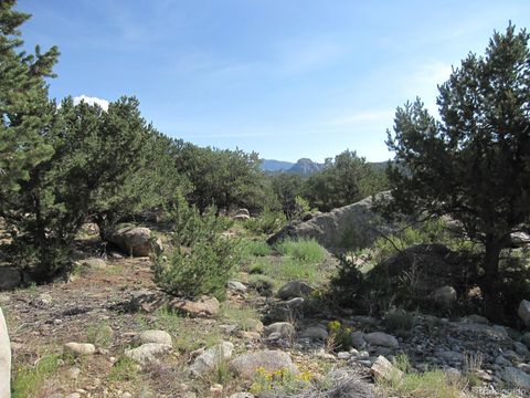 30025 Teal Run Buena Vista CO 81211