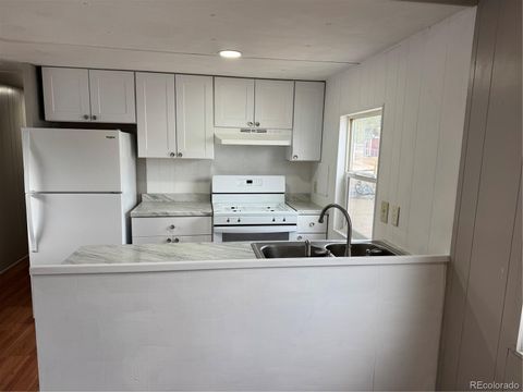 29600 County Road 353 Buena Vista CO 81211