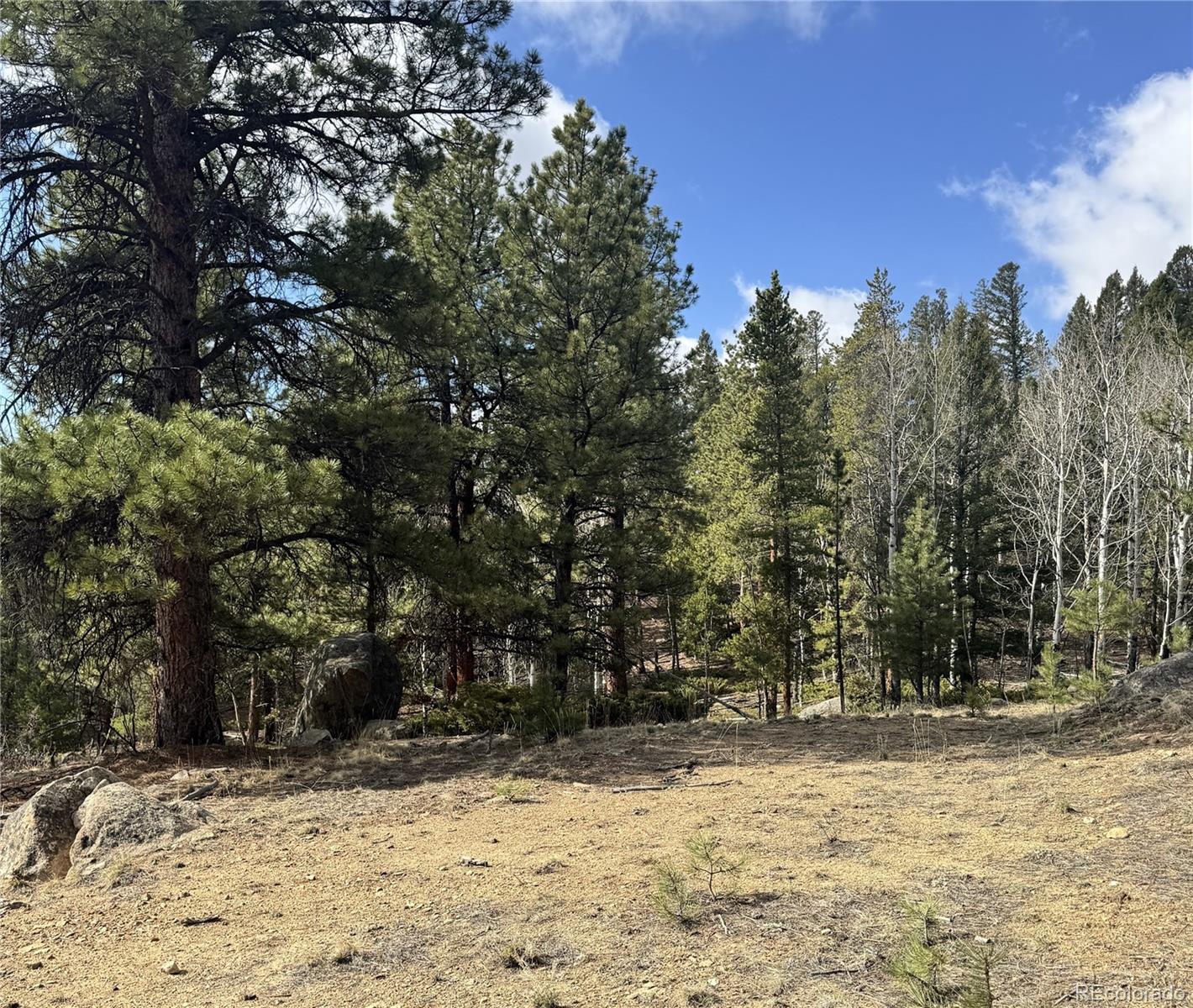 30317 Aspen Turn