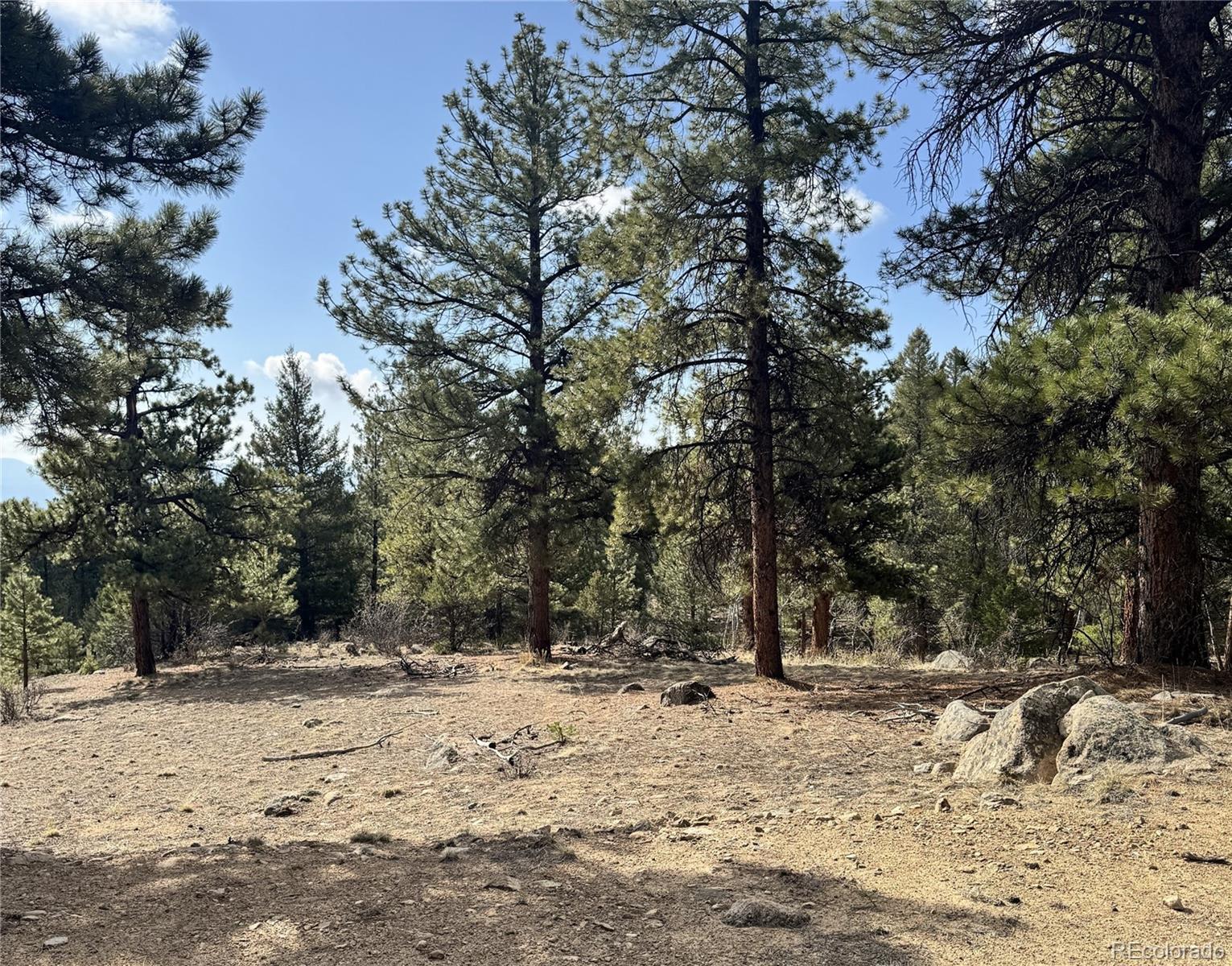 30317 Aspen Turn