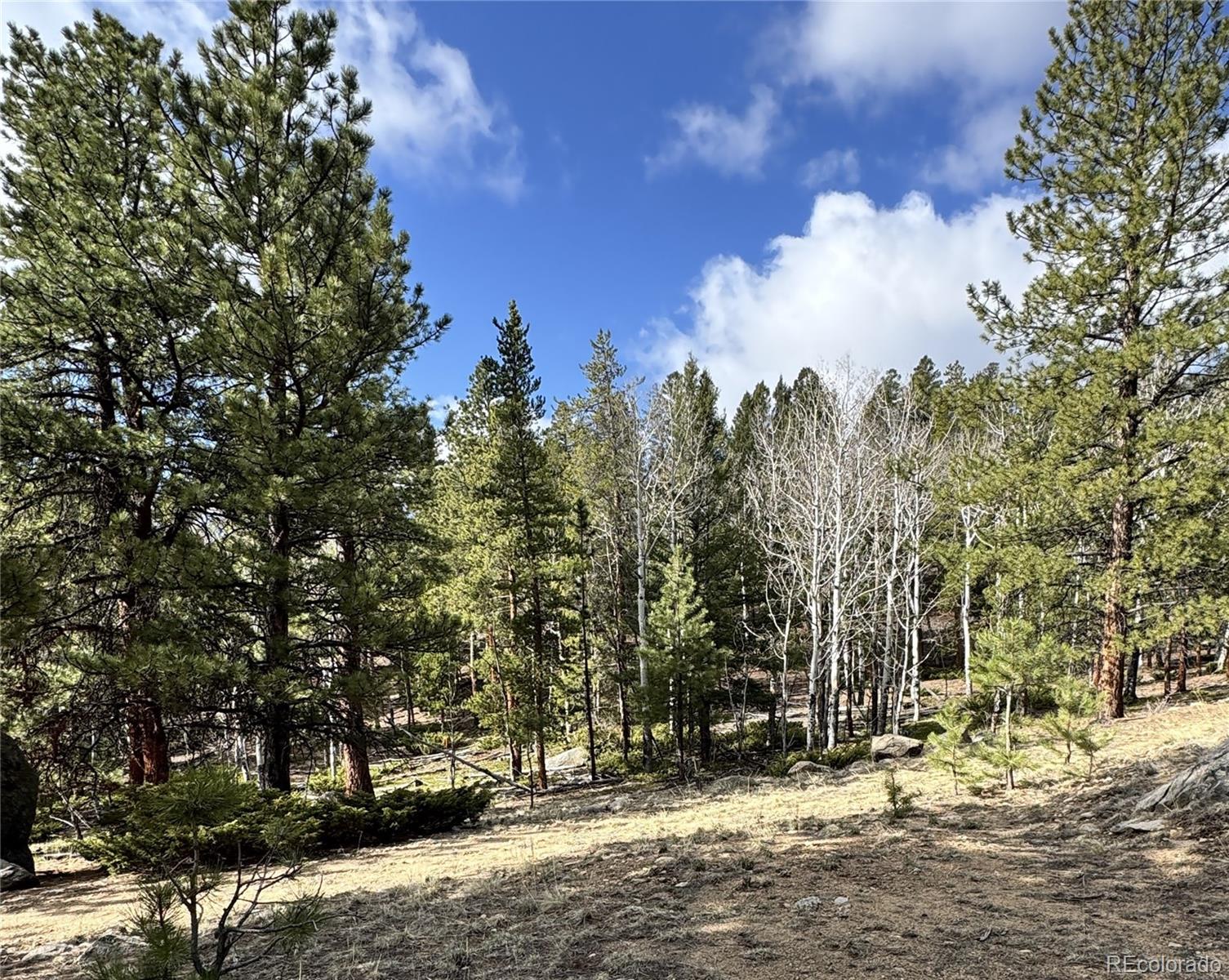 30317 Aspen Turn