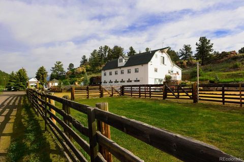 64057 US Highway 285 Bailey CO 80421