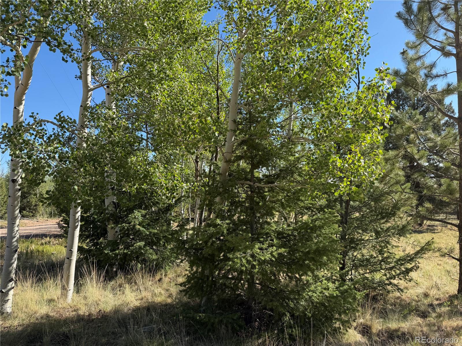 9430 Ranch Road Road
