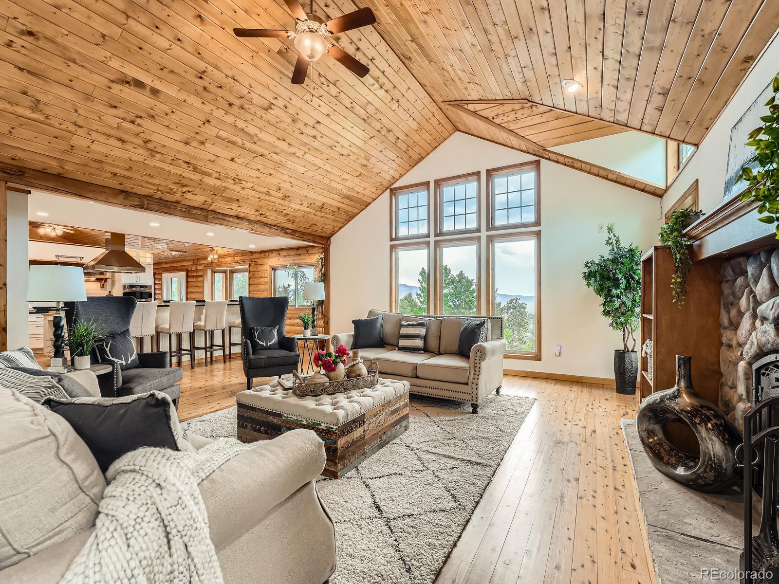 1527 S Pine Drive, Bailey, CO, 80421 1 1527 S Pine Drive
