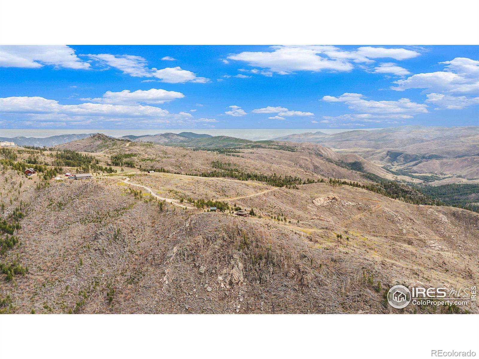 552 Blue Grouse Lane, Bellvue, CO, 80512 2 552 Blue Grouse Lane