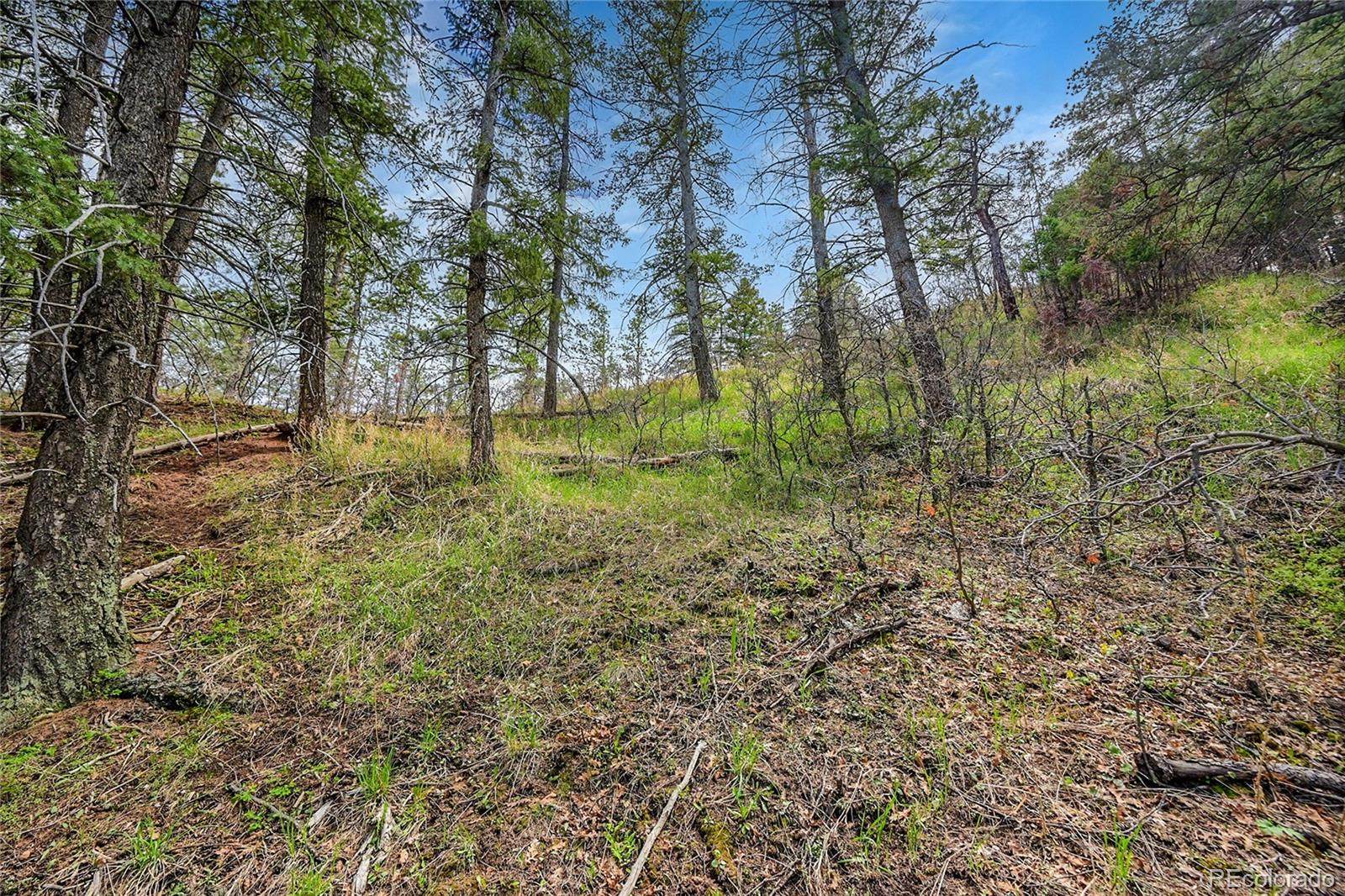 8093 Acoma Drive, Larkspur, CO, 80118 8093 Acoma Drive