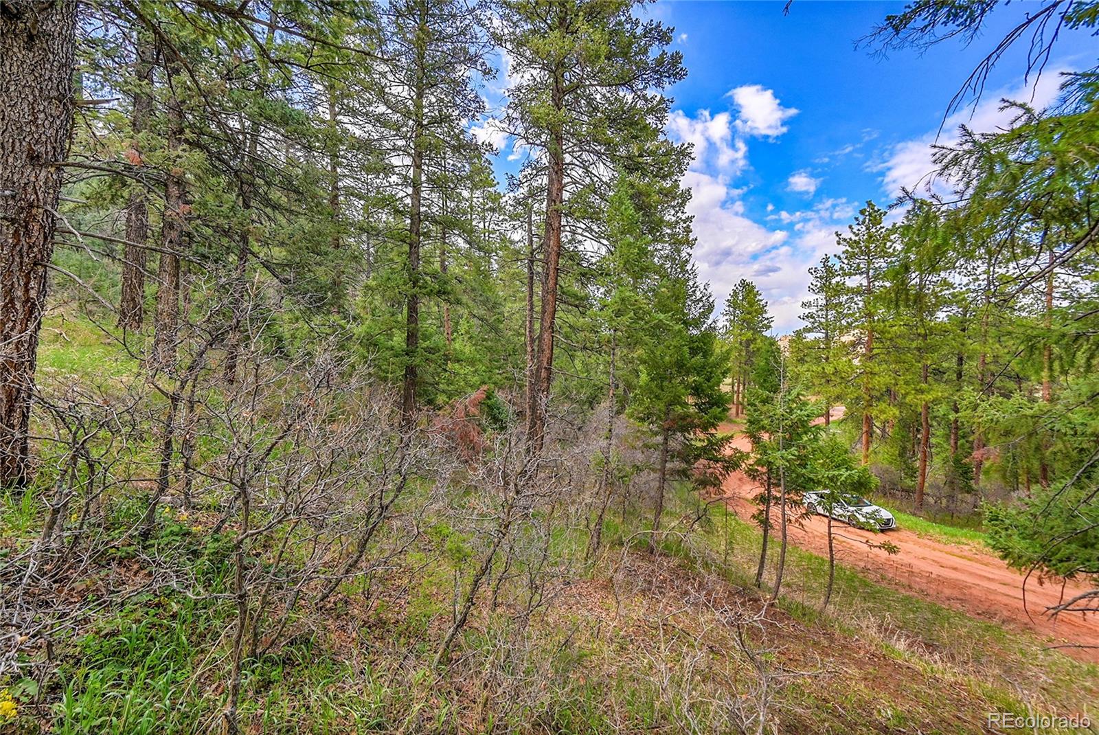 8093 Acoma Drive, Larkspur, CO, 80118 8093 Acoma Drive